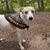 Laura Ahlersmeyer Stahl's profile image