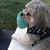 Wendi Hoover's profile image