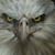 James Hicklin's profile image