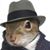 Rob Montanaro's profile image