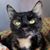 Barbara Waterman's profile image