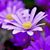 Beth Fowler Robinson's profile image