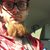 Dominick Mocerino III's profile image