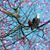 Britta Thompson's profile image