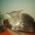 Marlene Burton's profile image