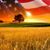 Amy Johnson-Price's profile image