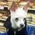 Kimberly Harkins's profile image