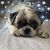 Kristen Reilly Fatico's profile image