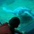 Tina Thomas Ward's profile image
