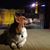 Ian Shannon-Garvey's profile image