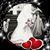 Kimberly Welsh's profile image