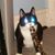Donnavan Elam's profile image