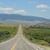 Susan Greeno-Eichinger's profile image