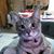 Amanda Swinford's profile image