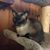 Theresa Doyon's profile image
