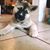 Ndina Yarbrough's profile image