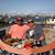 Joe Bogigian's profile image