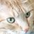 Margie Schellpfeffer's profile image