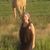 Sue Berg's profile image