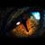 Jimmy Swanner's profile image