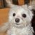Annette Blakely's profile image