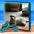 Beth Sausville's profile image