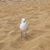 Matthan Allaway's profile image