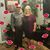 Karey Stewart's profile image