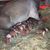 Terre Jo Harrington-Murray's profile image