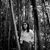 Ivy Marie Gallion's profile image
