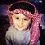 Mohammed Faeq El-Ghandour's profile image