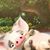 Ashley Crouch's profile image