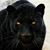 Kimberly Crawford's profile image