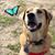 Brandi Evans's profile image