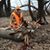 Gary Krop's profile image