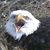 Sandy Fink's profile image