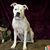 Mary Lynn Phillips's profile image