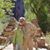 Tammy Borichevsky's profile image