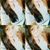 Sashel Ponayo's profile image