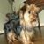 Betty Akins Weeks's profile image