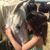 Sheila Schlederer's profile image