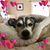 Jennifer DiMaggio's profile image