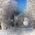 Kimberly Breault Sheeley's profile image
