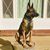 Javier Caraballo's profile image