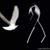Susana Cruz's profile image