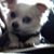 Darlene Clark's profile image
