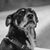 Andrew Hargett's profile image