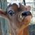 Rich Butler's profile image