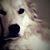 Donna Lynn's profile image