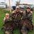 Nicky Roark's profile image